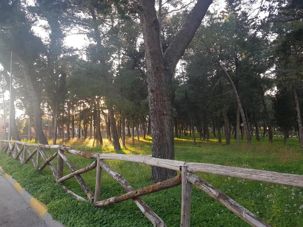 B&B La pineta Quasani Esterno foto